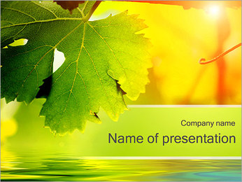 Autumn Leaves PowerPoint Template